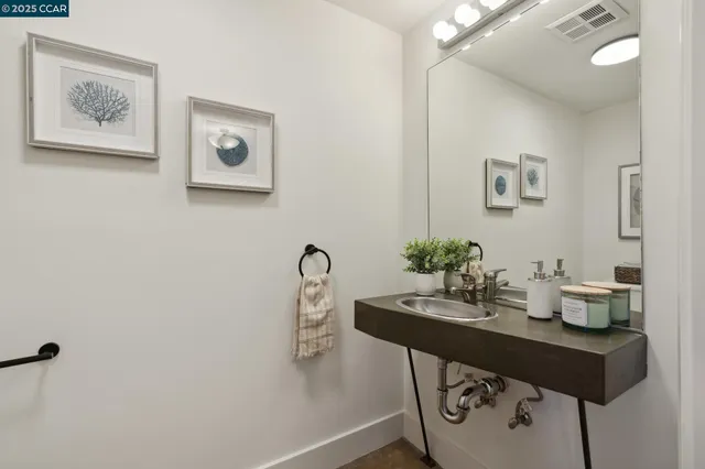 a table room with a sink and a potted plant