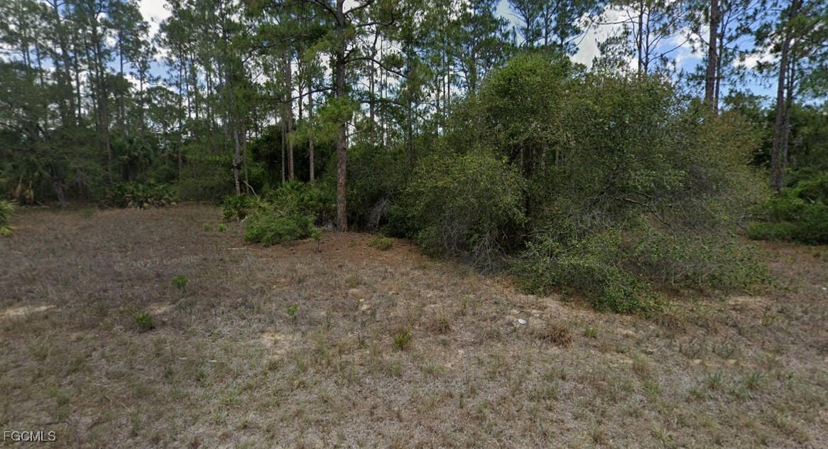 2114 Wells Avenue Alva, FL 33920 - Photo 3 of 5