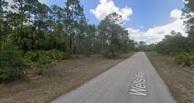 a view of a street with a trees in the background