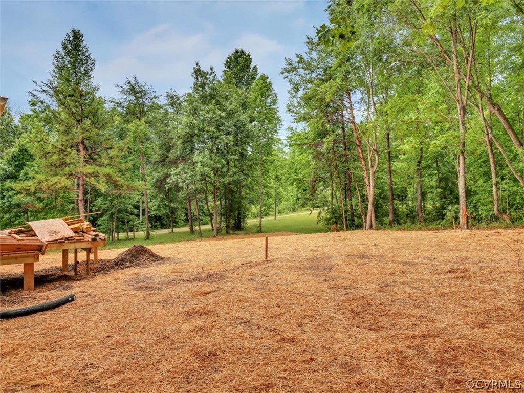 931 Clement Town Road Powhatan, VA 23139 - Photo 23 of 25 Gallery Image 23