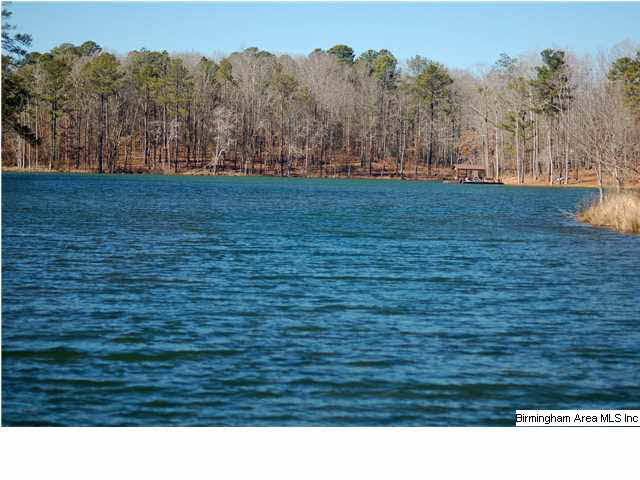 5 Highway Ac Al, Unit 96 23 Woodstock, AL 35188 - Photo 6 of 20