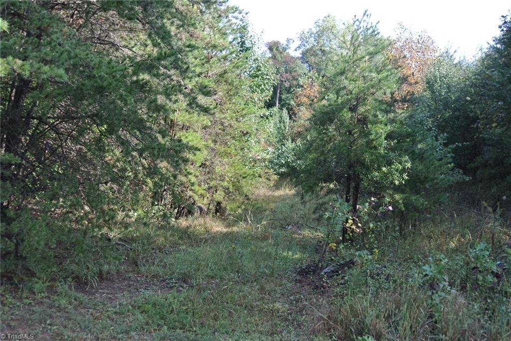 17-acres Brown Road, Unit 17 King, NC 27021 - Photo 11 of 12