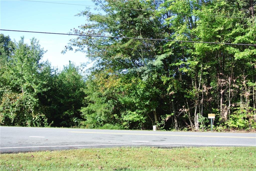 17-acres Brown Road, Unit 17 King, NC 27021 - Photo 3 of 12