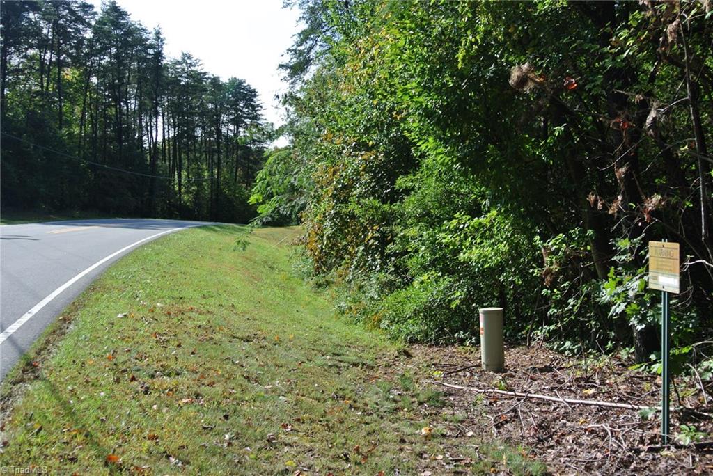 17-acres Brown Road, Unit 17 King, NC 27021 - Photo 4 of 12