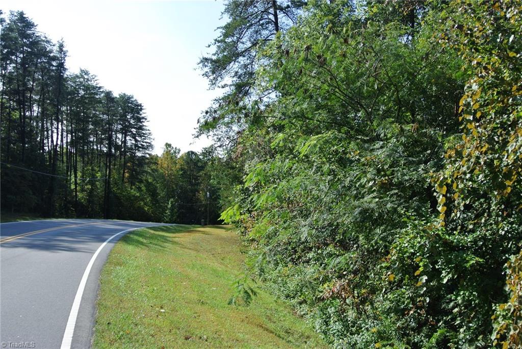 17-acres Brown Road, Unit 17 King, NC 27021 - Photo 5 of 12