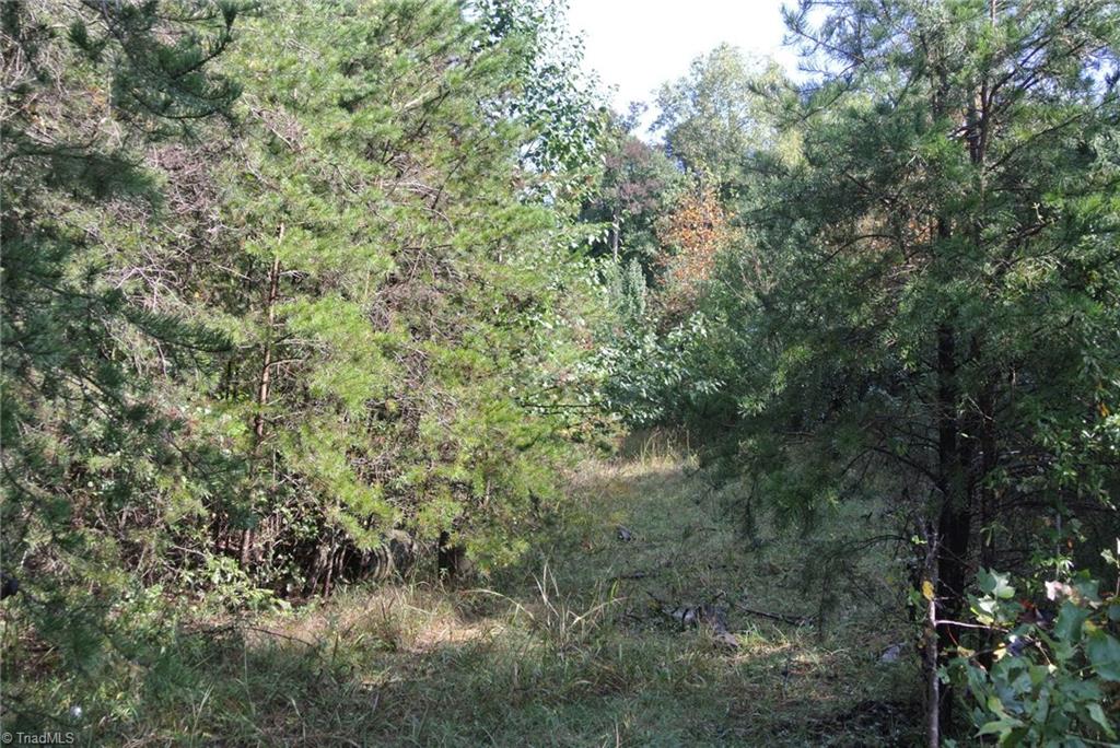 17-acres Brown Road, Unit 17 King, NC 27021 - Photo 6 of 12