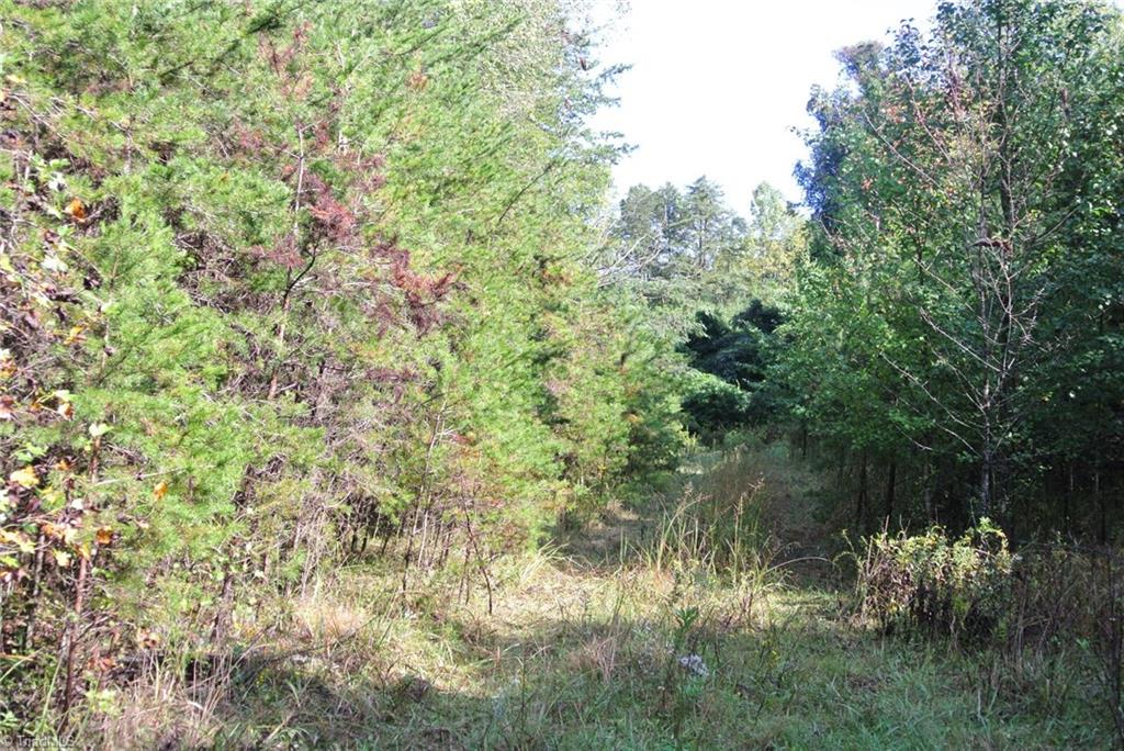 17-acres Brown Road, Unit 17 King, NC 27021 - Photo 7 of 12