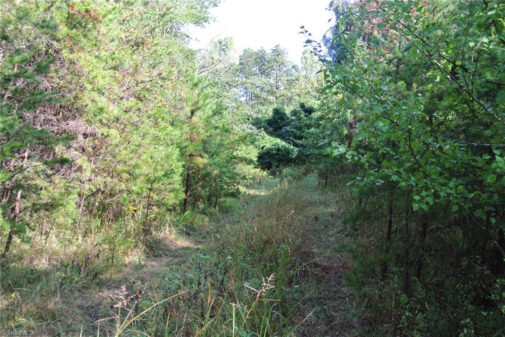 17-acres Brown Road, Unit 17 King, NC 27021 - Photo 8 of 12