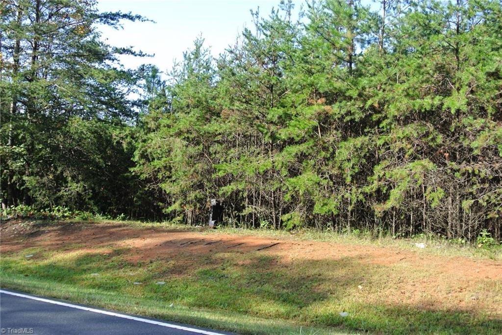 17-acres Brown Road, Unit 17 King, NC 27021 - Photo 10 of 12