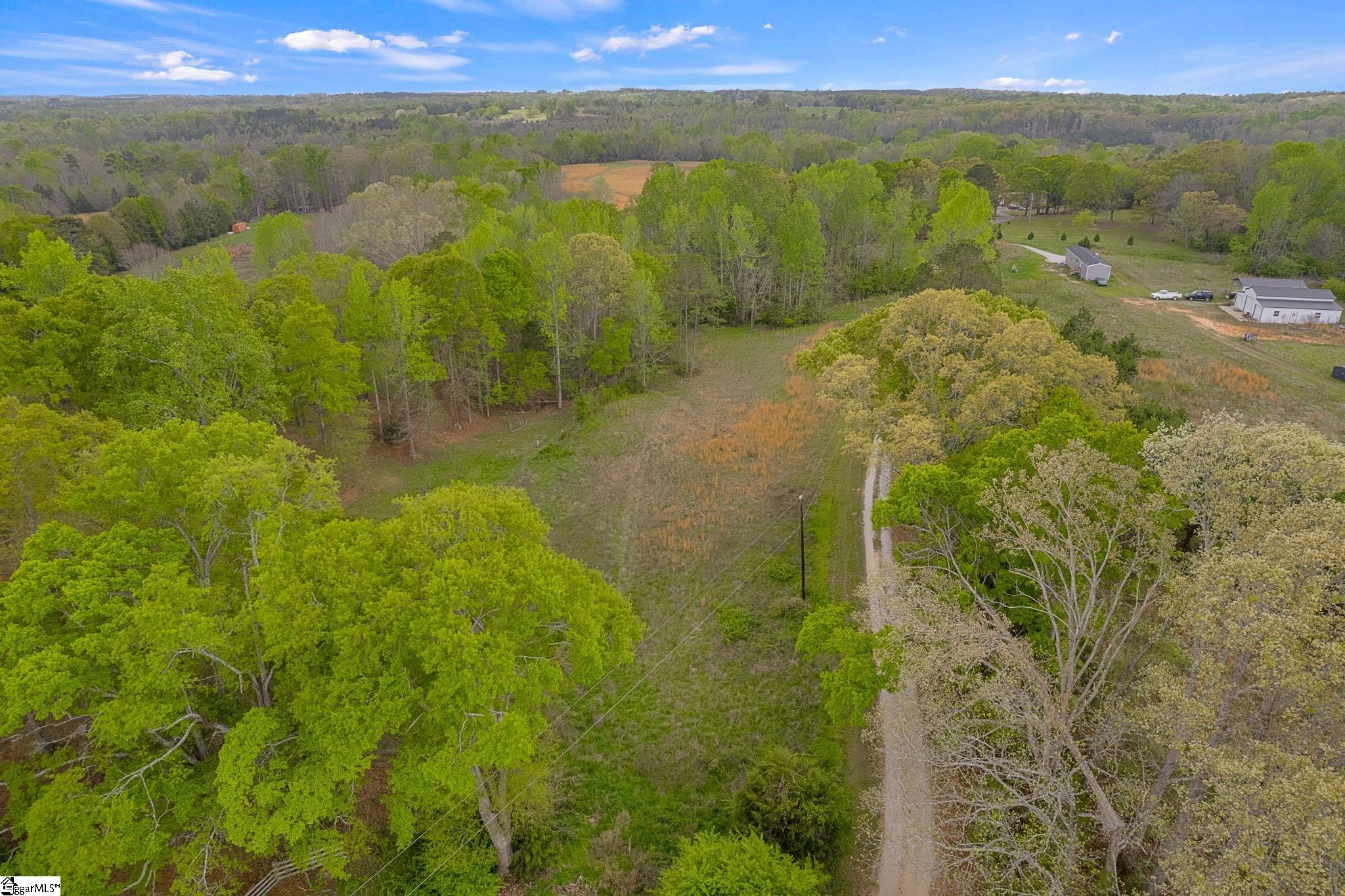25 Rough Drive Gray Court, SC 29645 - Photo 33 of 42