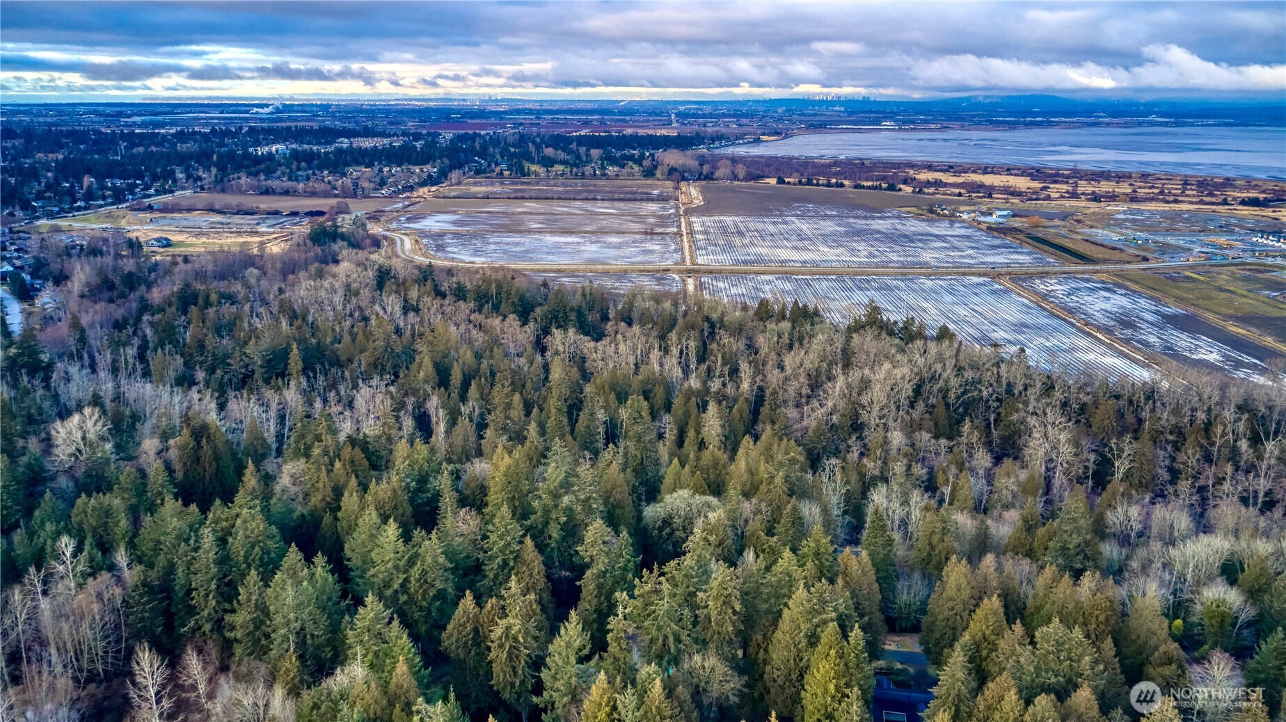 25 Roosevelt Way Point Roberts, WA 98281 - Photo 11 of 12 a view of a backyard of a house