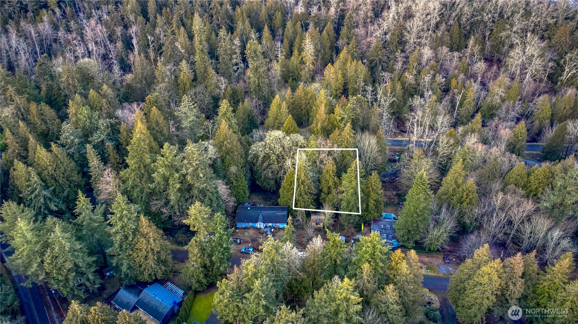 25 Roosevelt Way Point Roberts, WA 98281 - Photo 12 of 12 a view of a garden