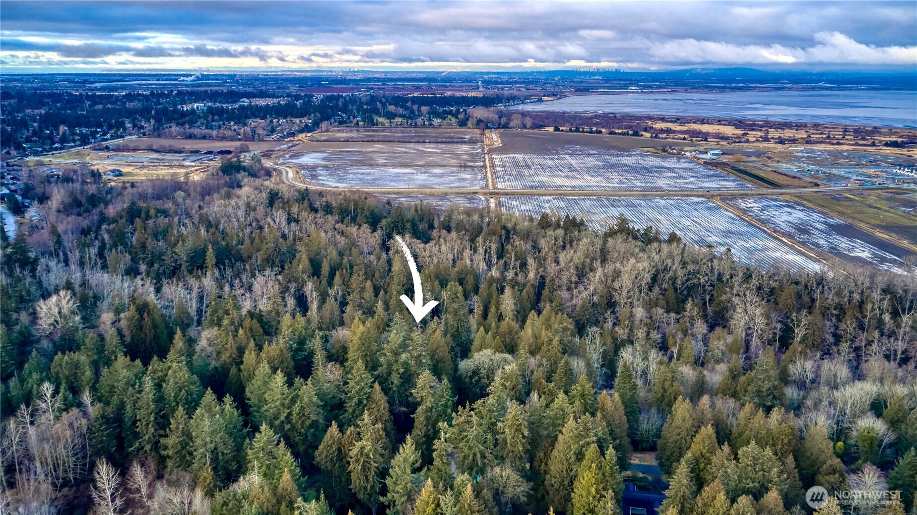 25 Roosevelt Way Point Roberts, WA 98281 - Photo 2 of 12 a view of a backyard of a house