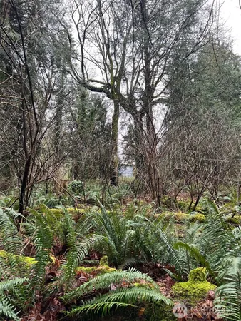 a view of a garden