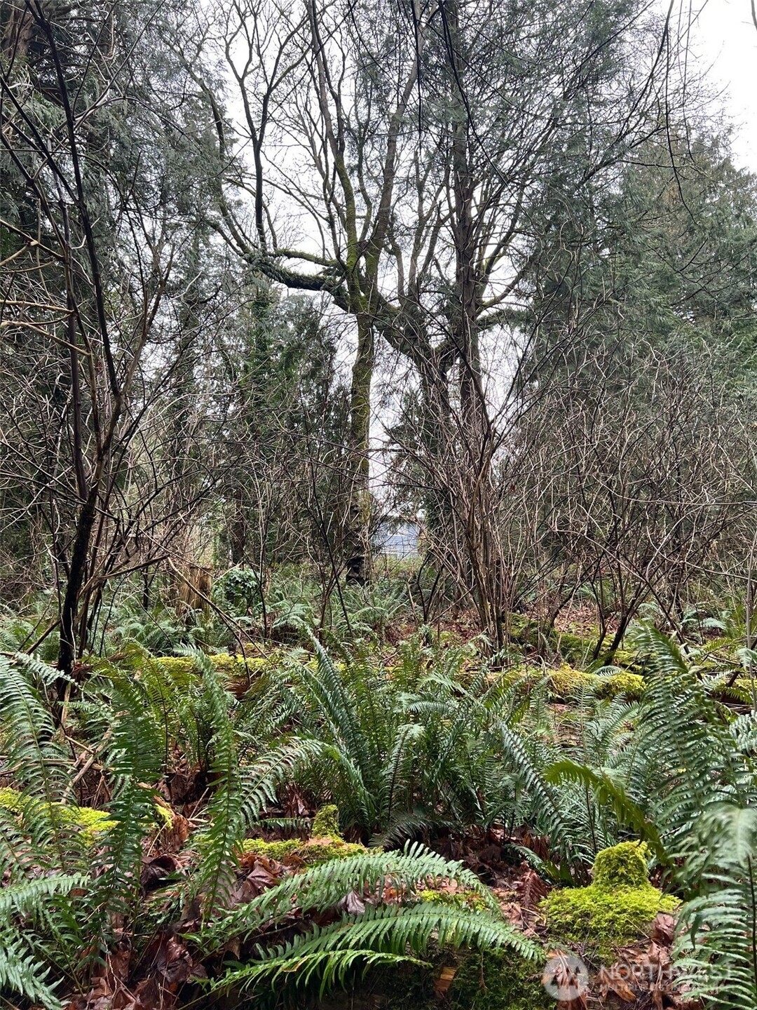 25 Roosevelt Way Point Roberts, WA 98281 - Photo 3 of 12 a view of a garden