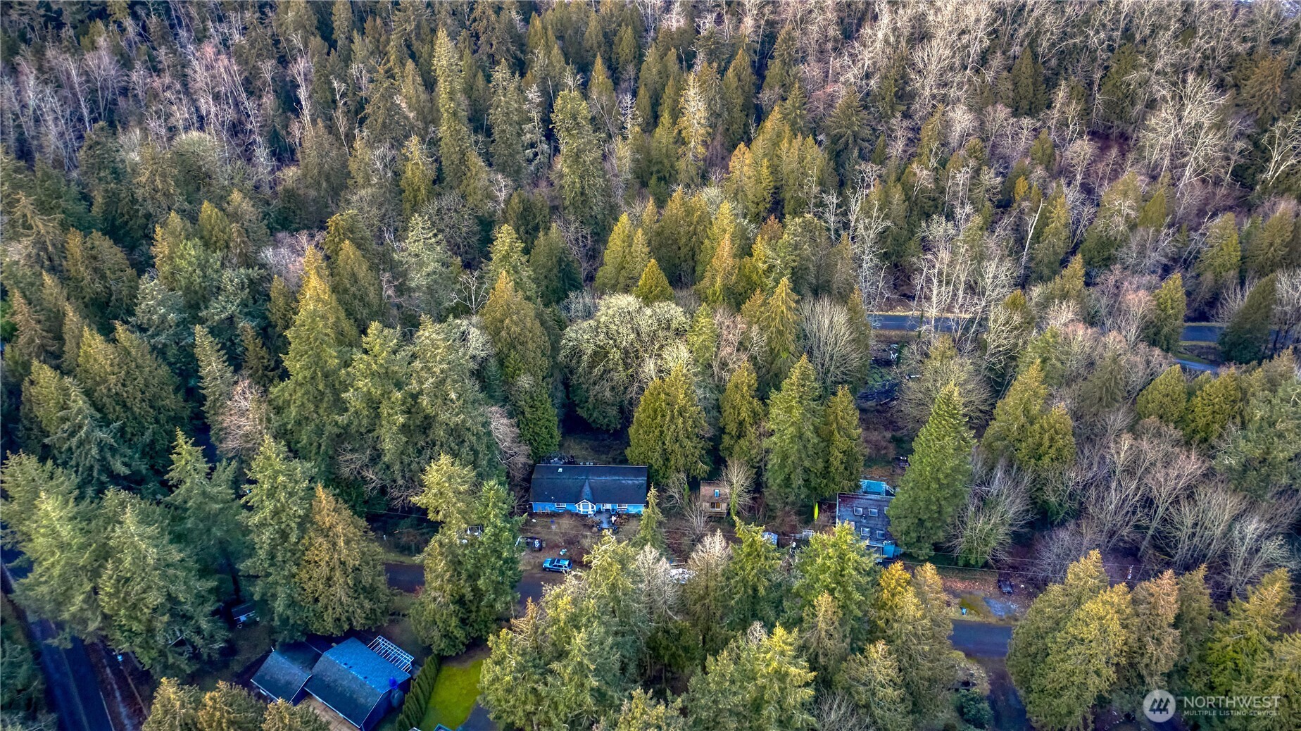 25 Roosevelt Way Point Roberts, WA 98281 - Photo 10 of 12 a view of a house with a tree
