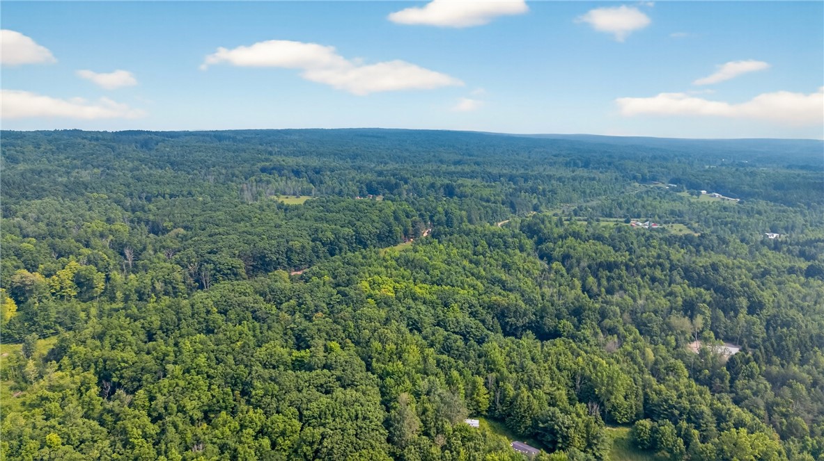 3064 Big Horn Road Jerusalem, NY 14418 - Photo 27 of 31