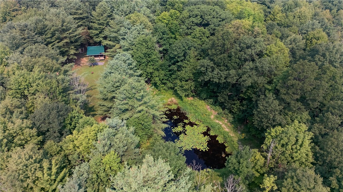 3064 Big Horn Road Jerusalem, NY 14418 - Photo 30 of 31