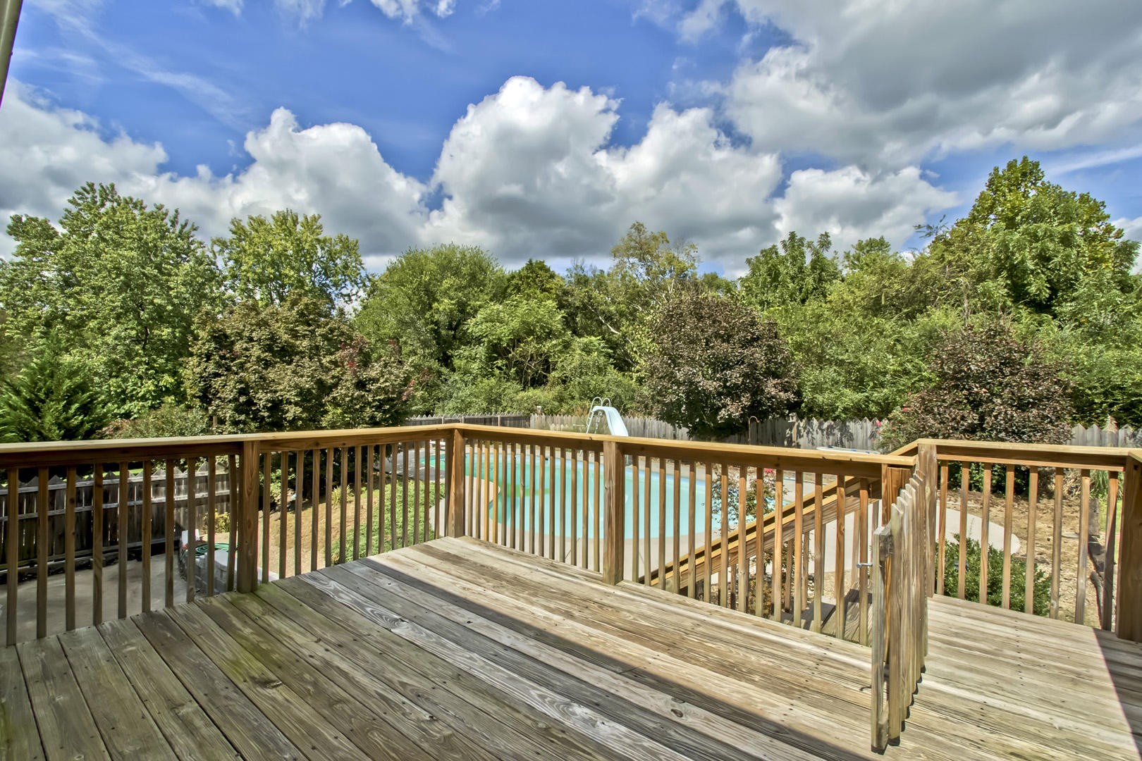 1108 Roderick Road Knoxville, TN 37923 - Photo 9 of 40 Gallery Image 9