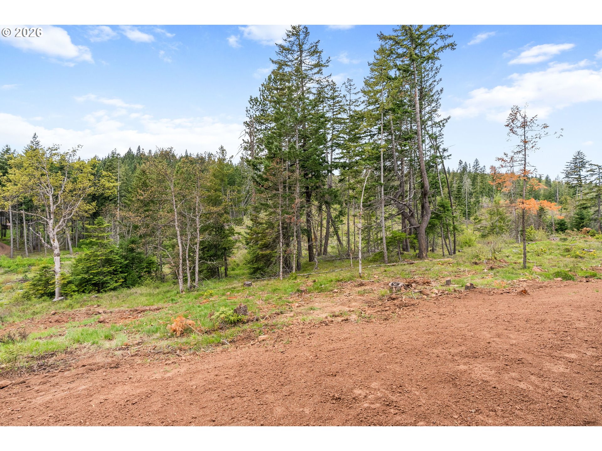 16 Snag Road Lyle, WA 98635 - Photo 41 of 43 a backyard of a house with lots of green space