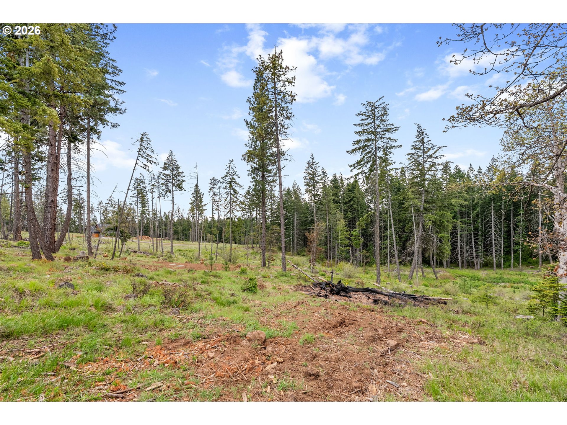 16 Snag Road Lyle, WA 98635 - Photo 42 of 43 a view of outdoor space with trees