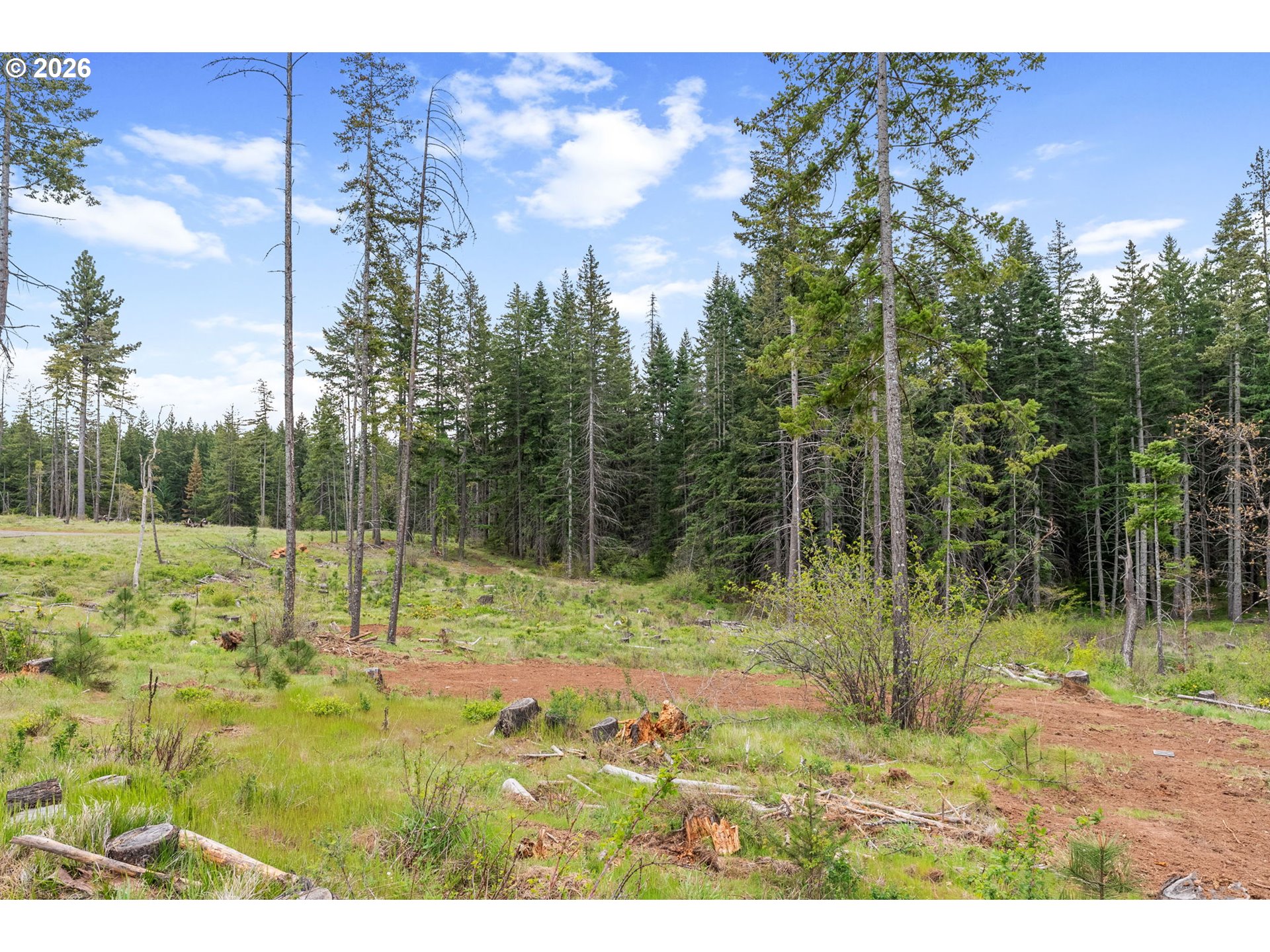 16 Snag Road Lyle, WA 98635 - Photo 43 of 43 a view of backyard with green space