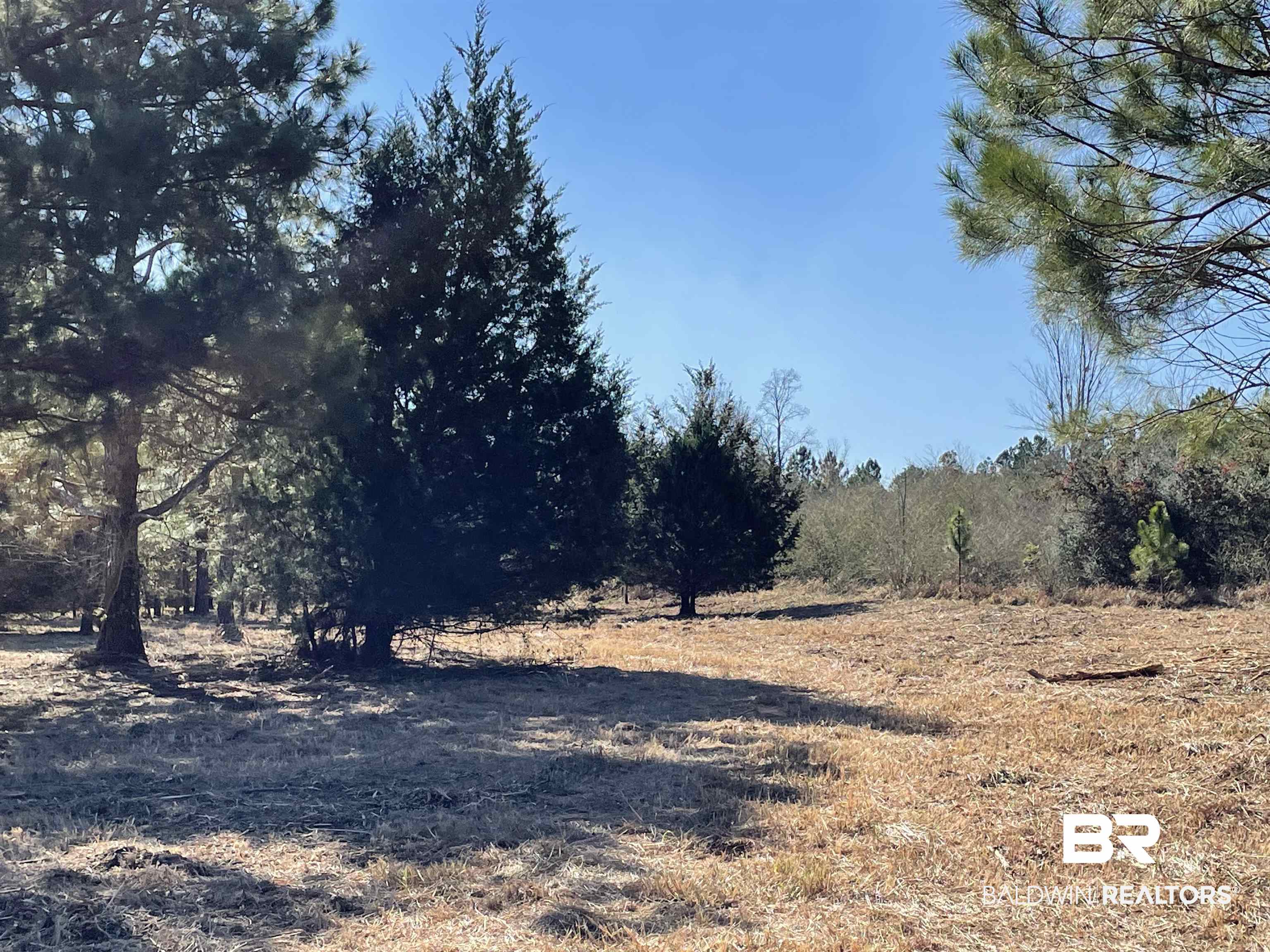 0 Makaira Drive Foley, AL 36535 - Photo 12 of 33