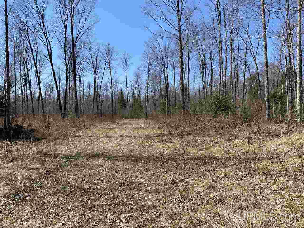 Off Nelson Road Glidden, WI 54527 - Photo 23 of 23