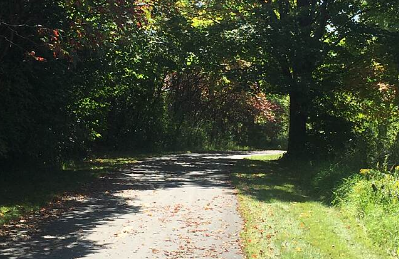 19860 Cottagewood Road Deephaven, MN 55331 - Photo 15 of 20