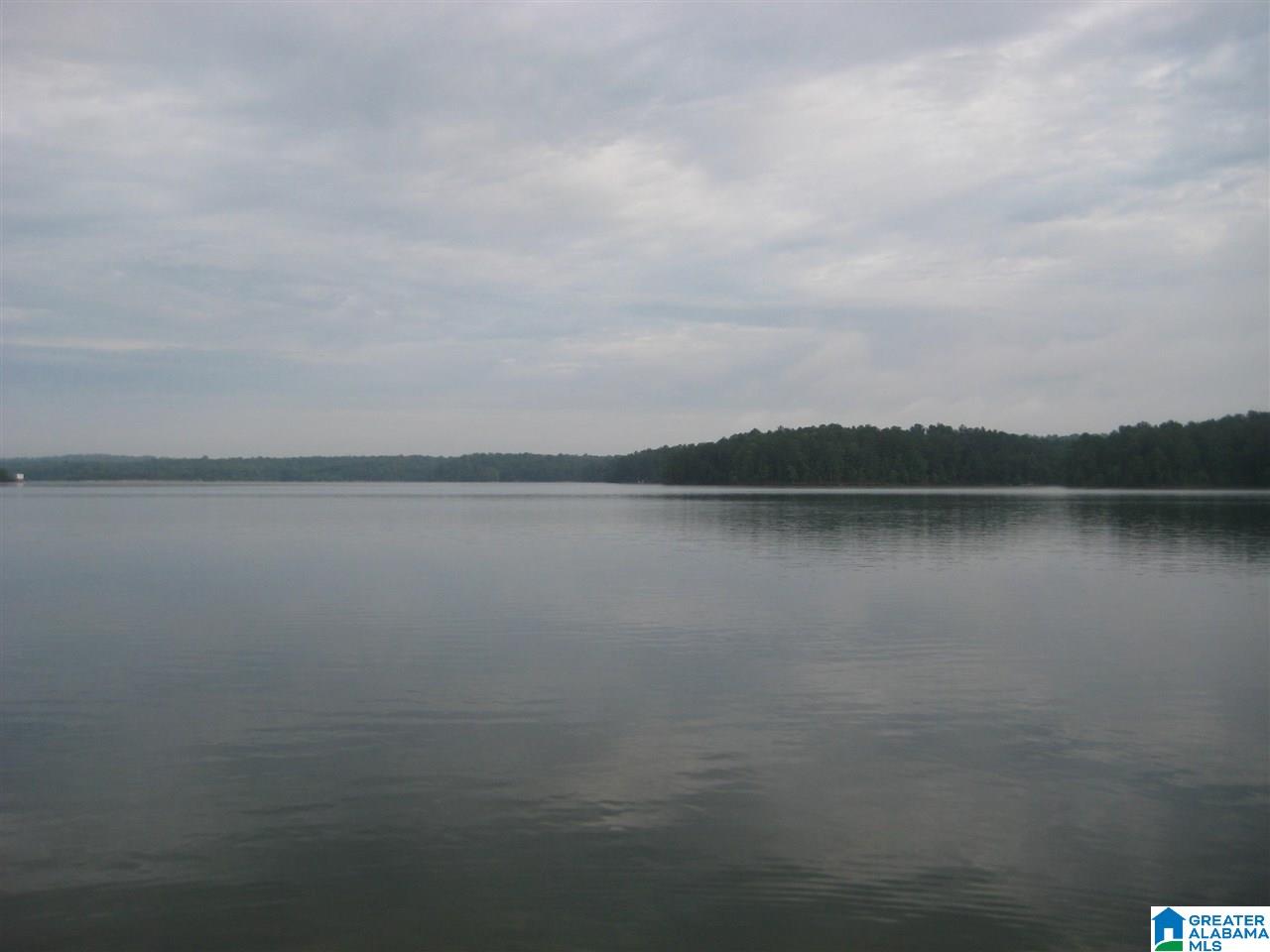 Lot 18 Emerald Point, Unit 18 Wedowee, AL 36278 - Photo 7 of 10