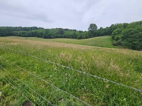 1366 Spring Valley Road Marion, VA 24354 - Photo 1 of 21 Gallery Image 1