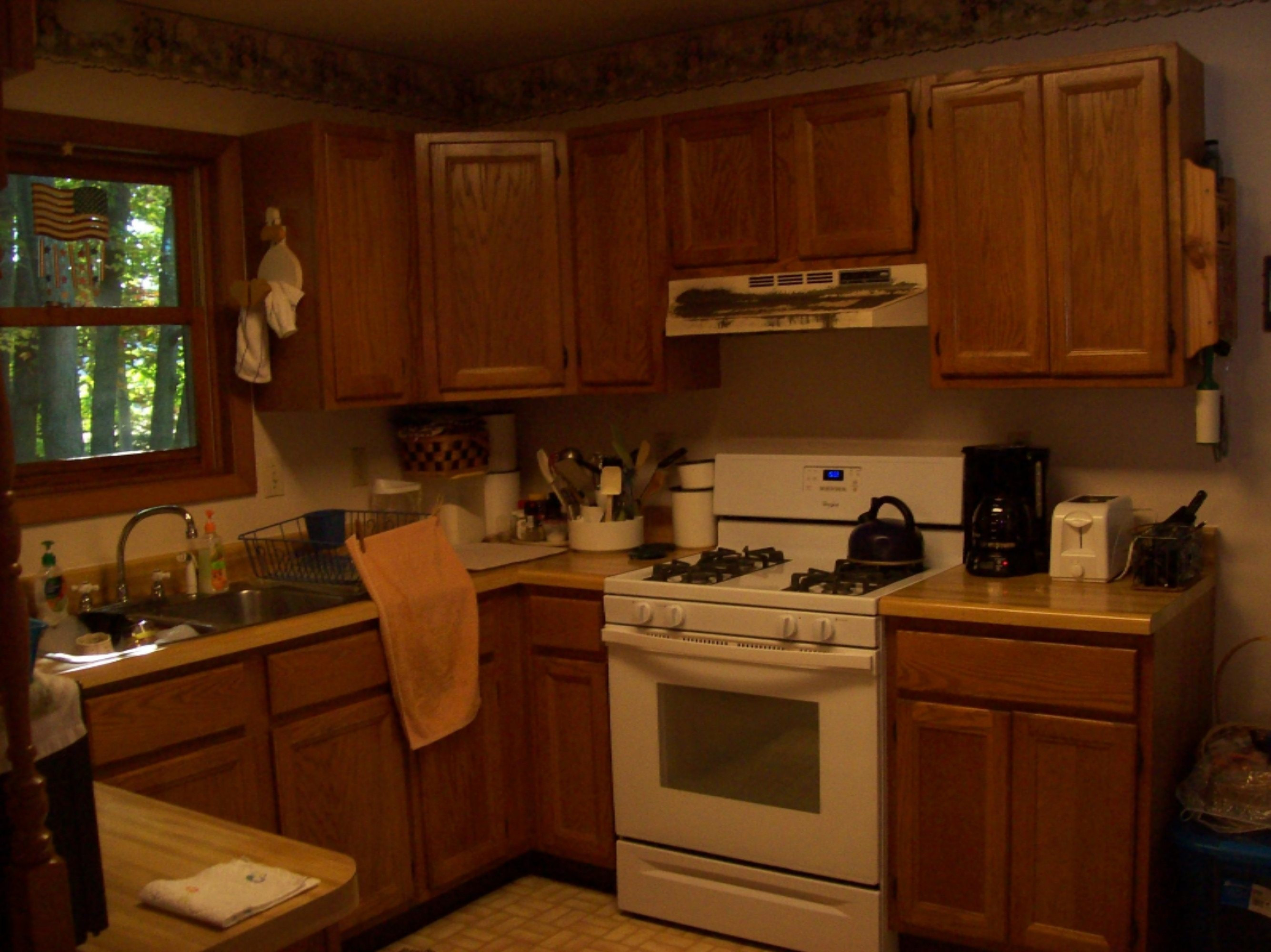7469 North Deja Road Edmore, MI 48829 - Photo 4 of 18 100_2449