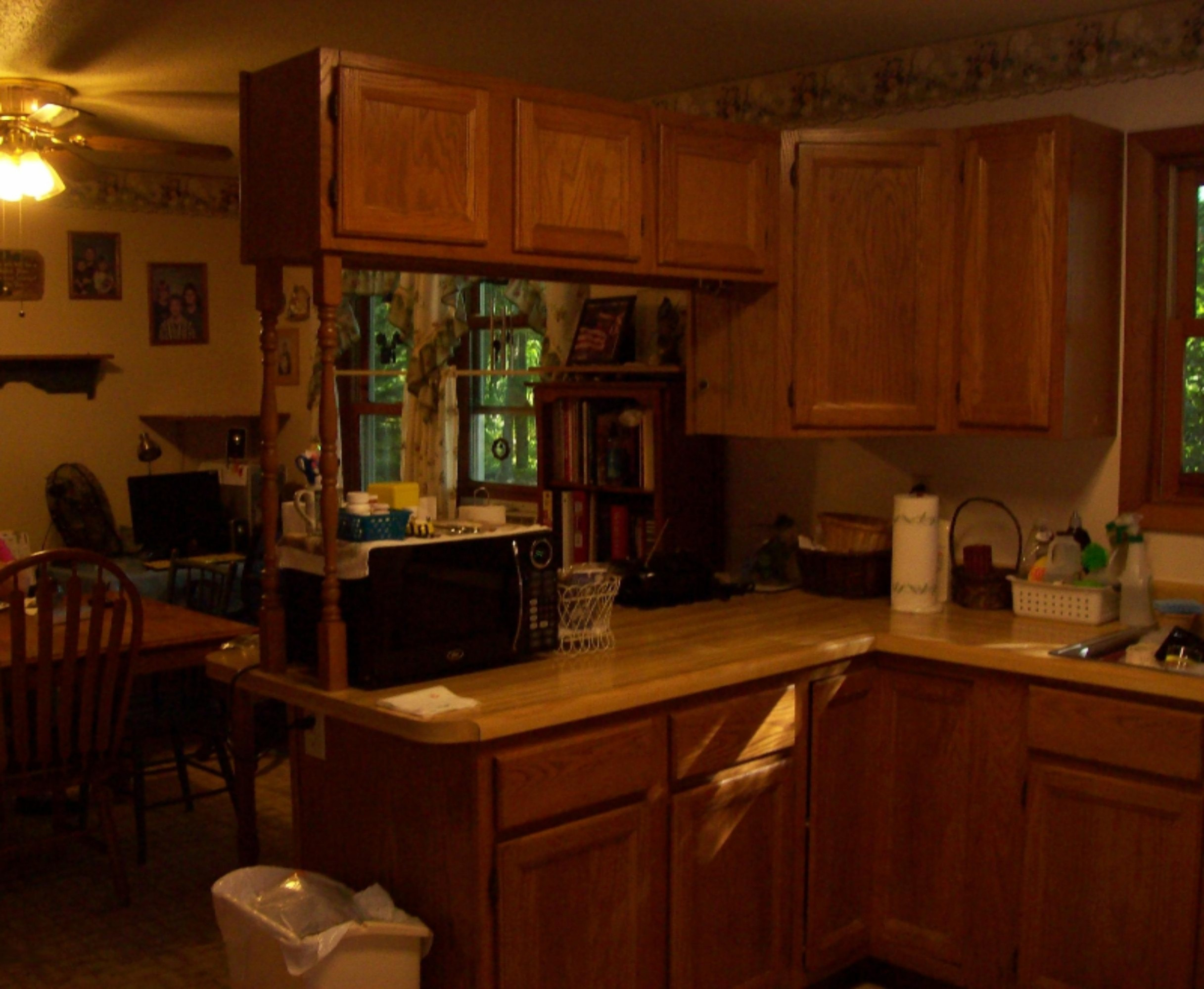 7469 North Deja Road Edmore, MI 48829 - Photo 5 of 18 100_2450