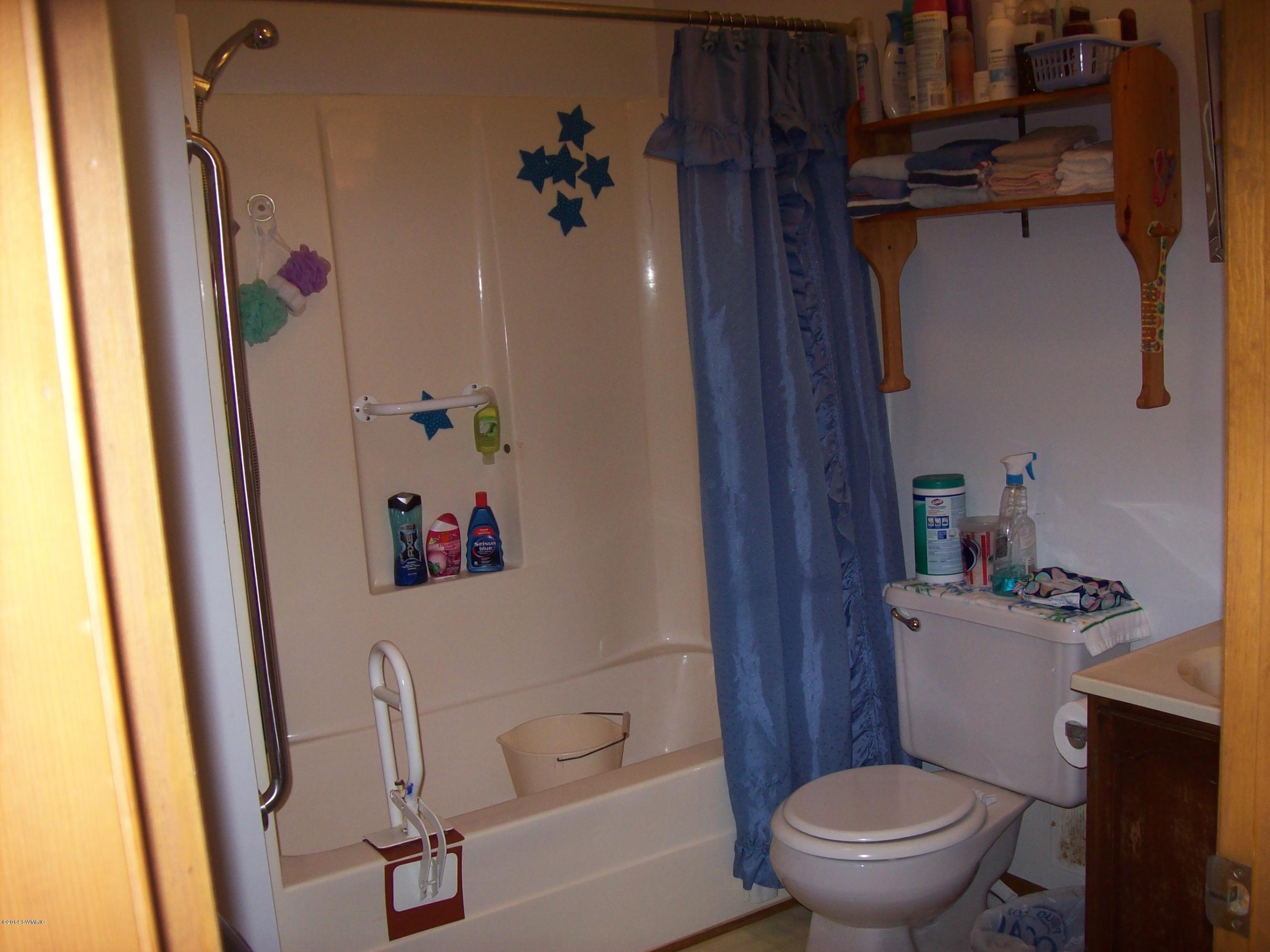 7469 North Deja Road Edmore, MI 48829 - Photo 8 of 18 100_2453