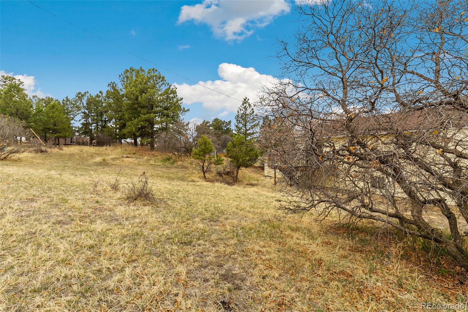 1049 Buttercup Road Elizabeth, CO 80107 - Photo 20 of 25 Gallery Image 20