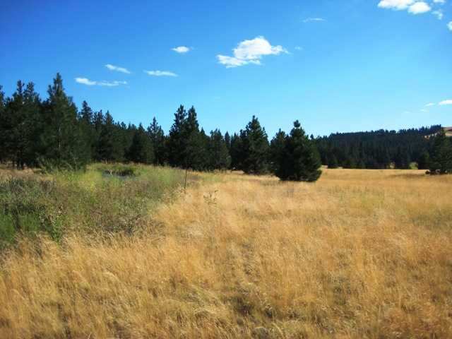 3005 West Monroe Road Spokane, WA 99208 - Photo 2 of 6