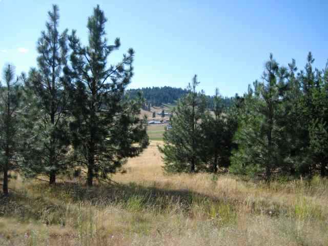 3005 West Monroe Road Spokane, WA 99208 - Photo 3 of 6