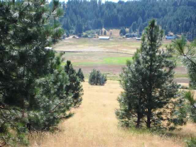 3005 West Monroe Road Spokane, WA 99208 - Photo 4 of 6