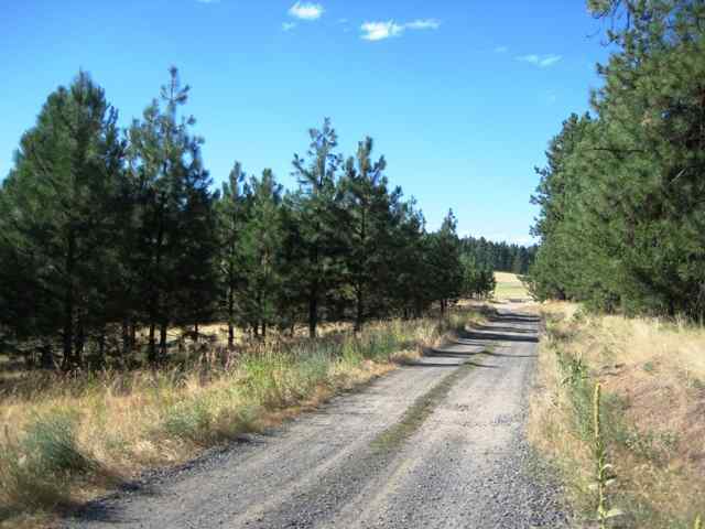 3005 West Monroe Road Spokane, WA 99208 - Photo 6 of 6
