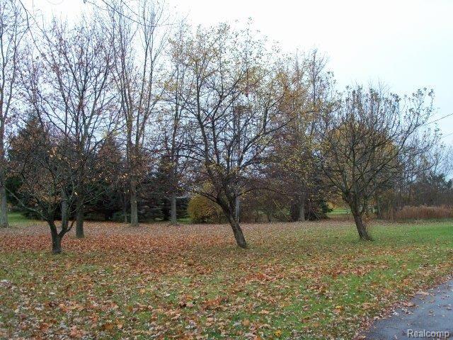 68701 Hawkins Lane Ray, MI 48096 - Photo 20 of 22 100_2064 (640x480).jpg
