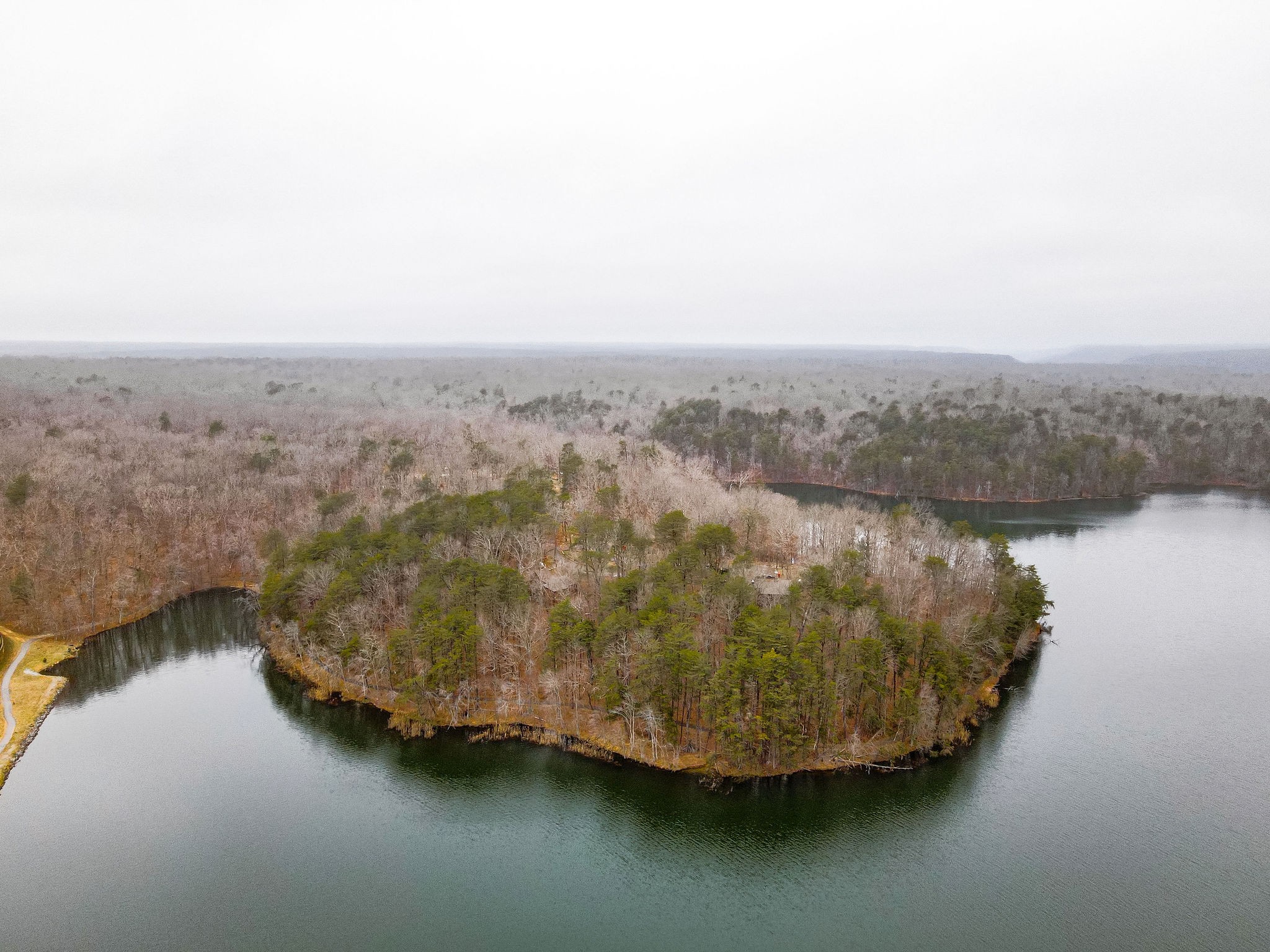 0 Captain Carter Road Spencer, TN 38585 - Photo 22 of 43 a view of a lake with a mountain