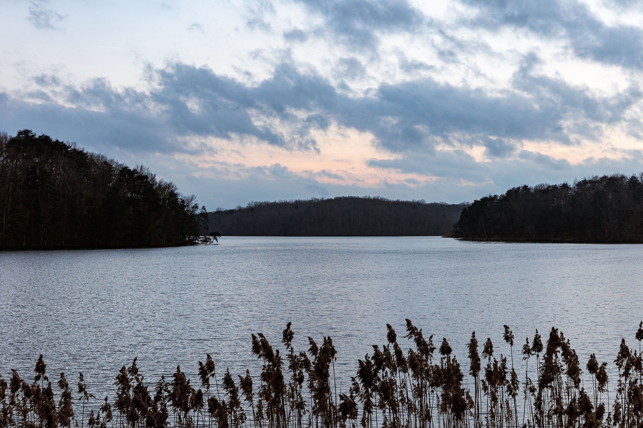 0 Captain Carter Road Spencer, TN 38585 - Photo 24 of 43 a view of a lake