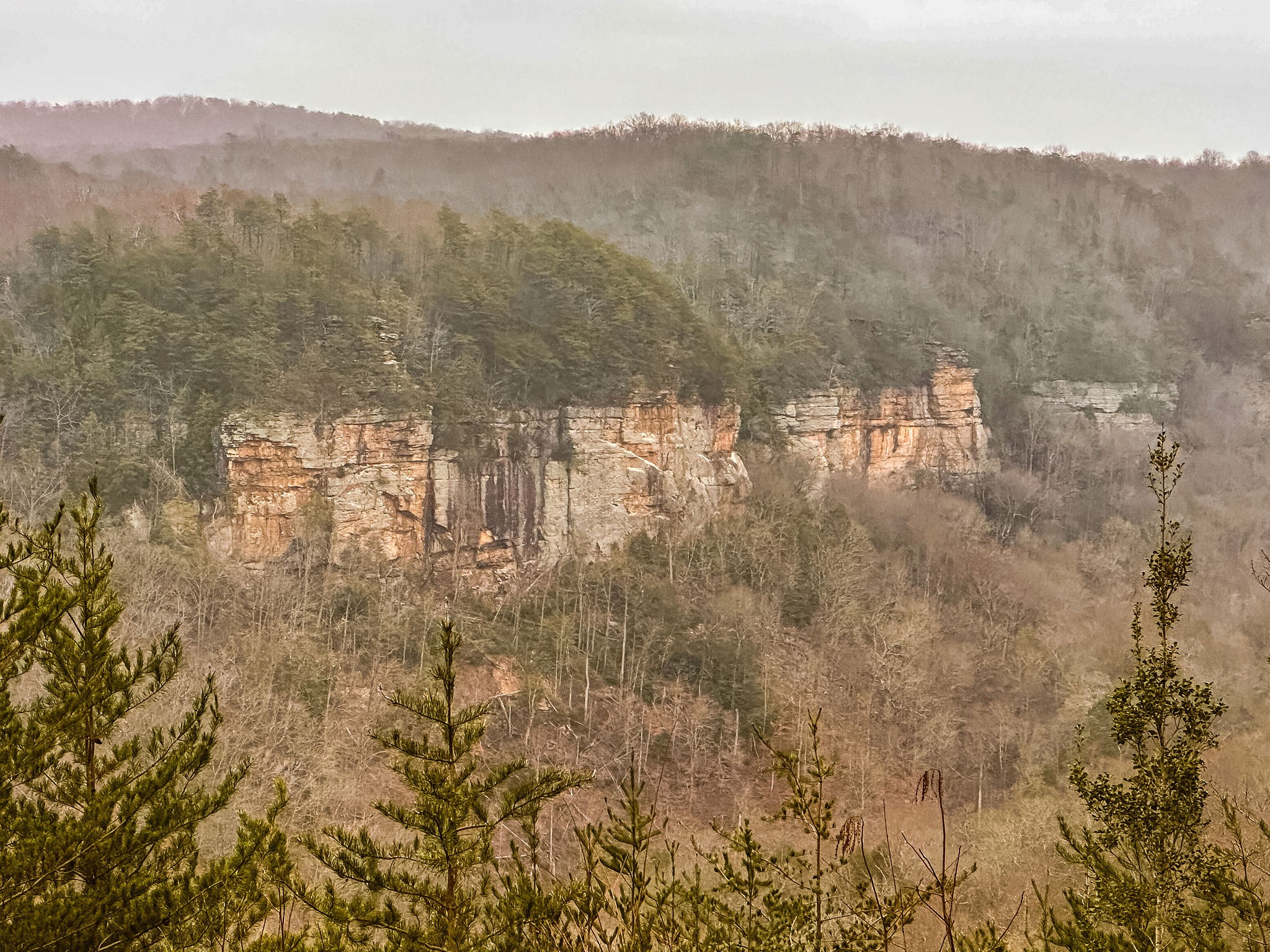 0 Captain Carter Road Spencer, TN 38585 - Photo 25 of 43 a view of mountain with trees
