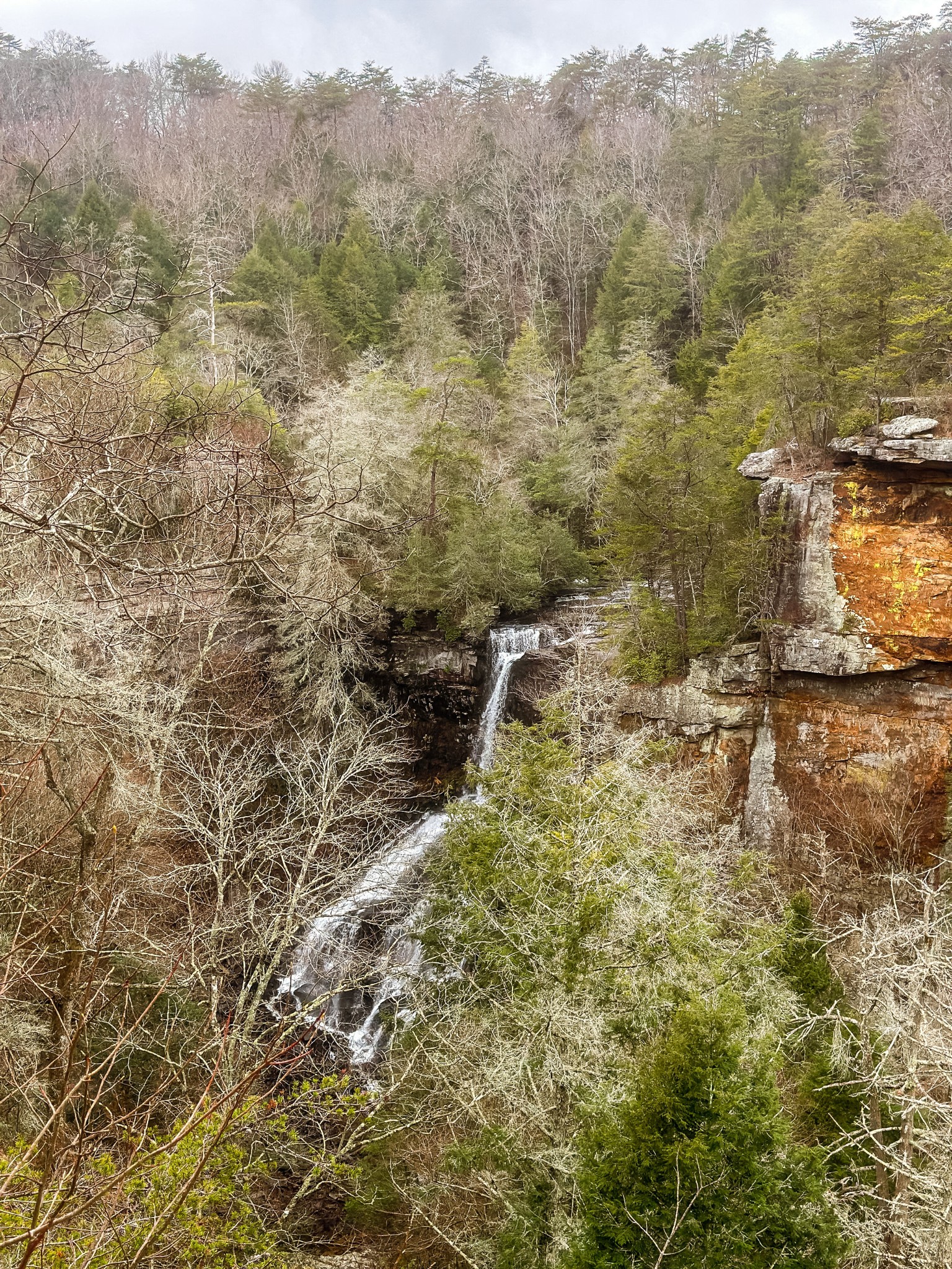 0 Captain Carter Road Spencer, TN 38585 - Photo 28 of 43 a view of a lake with mountains in the background
