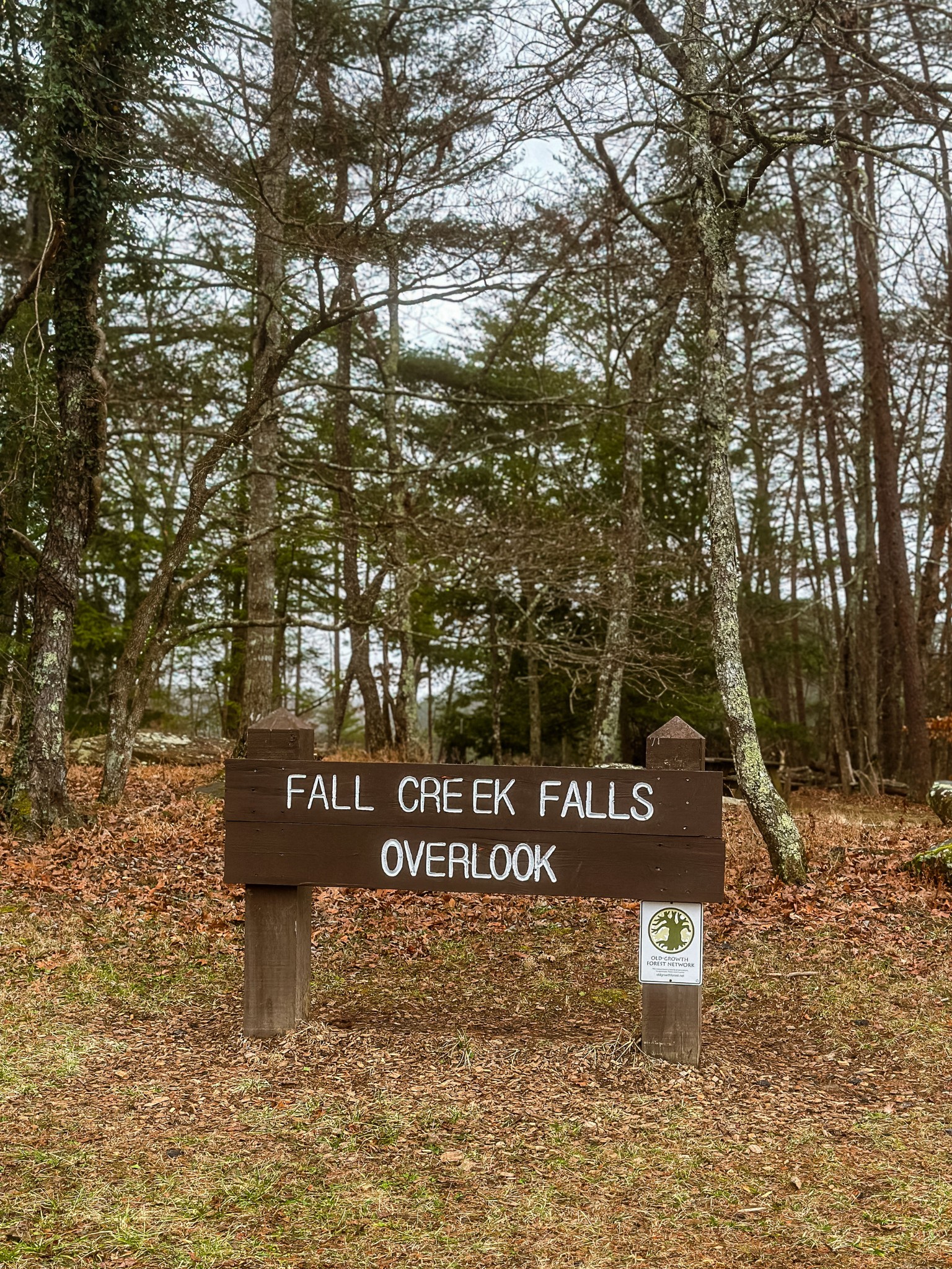 0 Captain Carter Road Spencer, TN 38585 - Photo 29 of 43 a view of a street with sign of a park