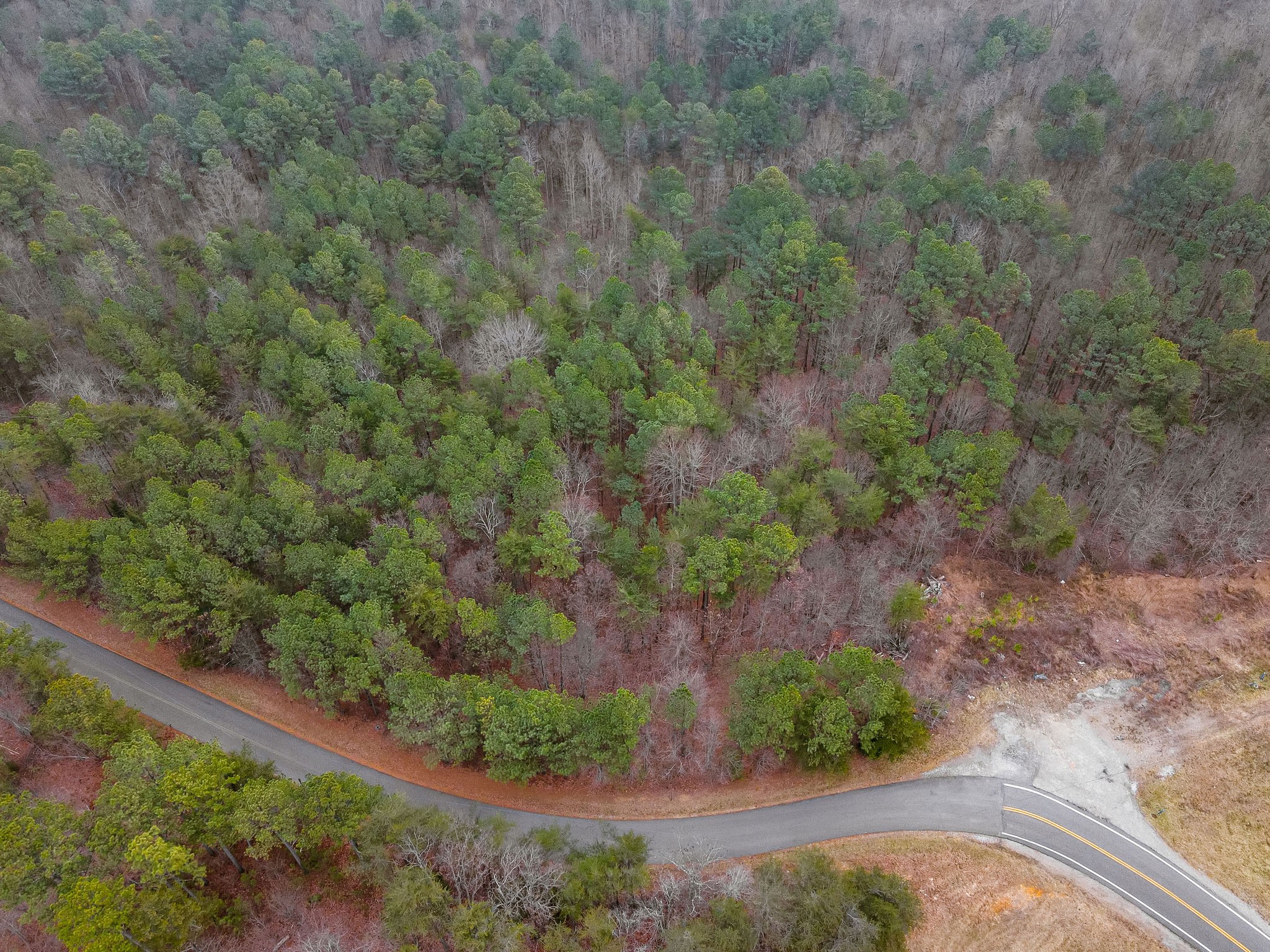 0 Captain Carter Road Spencer, TN 38585 - Photo 3 of 43 a view of a yard with plants and large trees