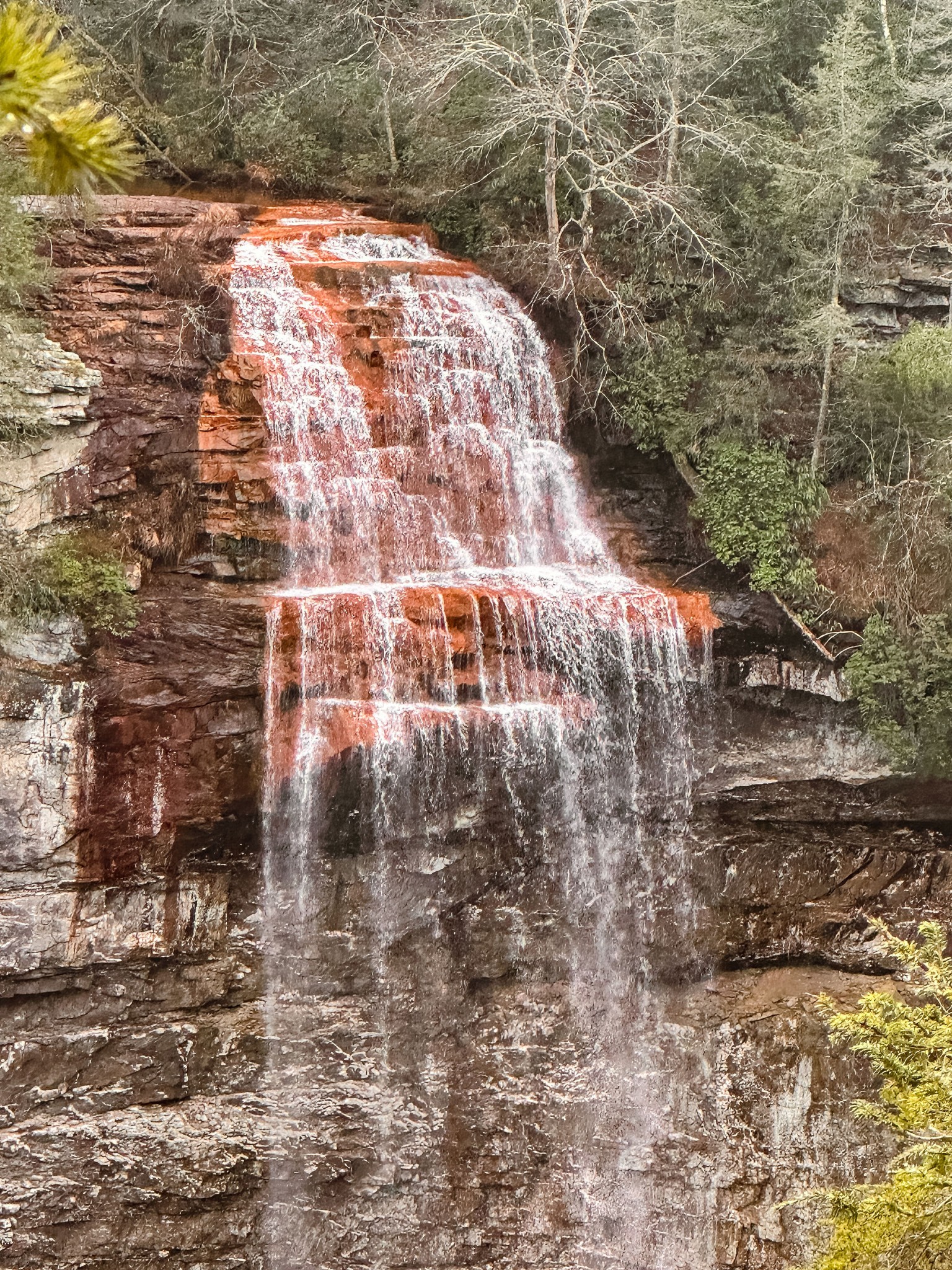 0 Captain Carter Road Spencer, TN 38585 - Photo 33 of 43 a view of a yard