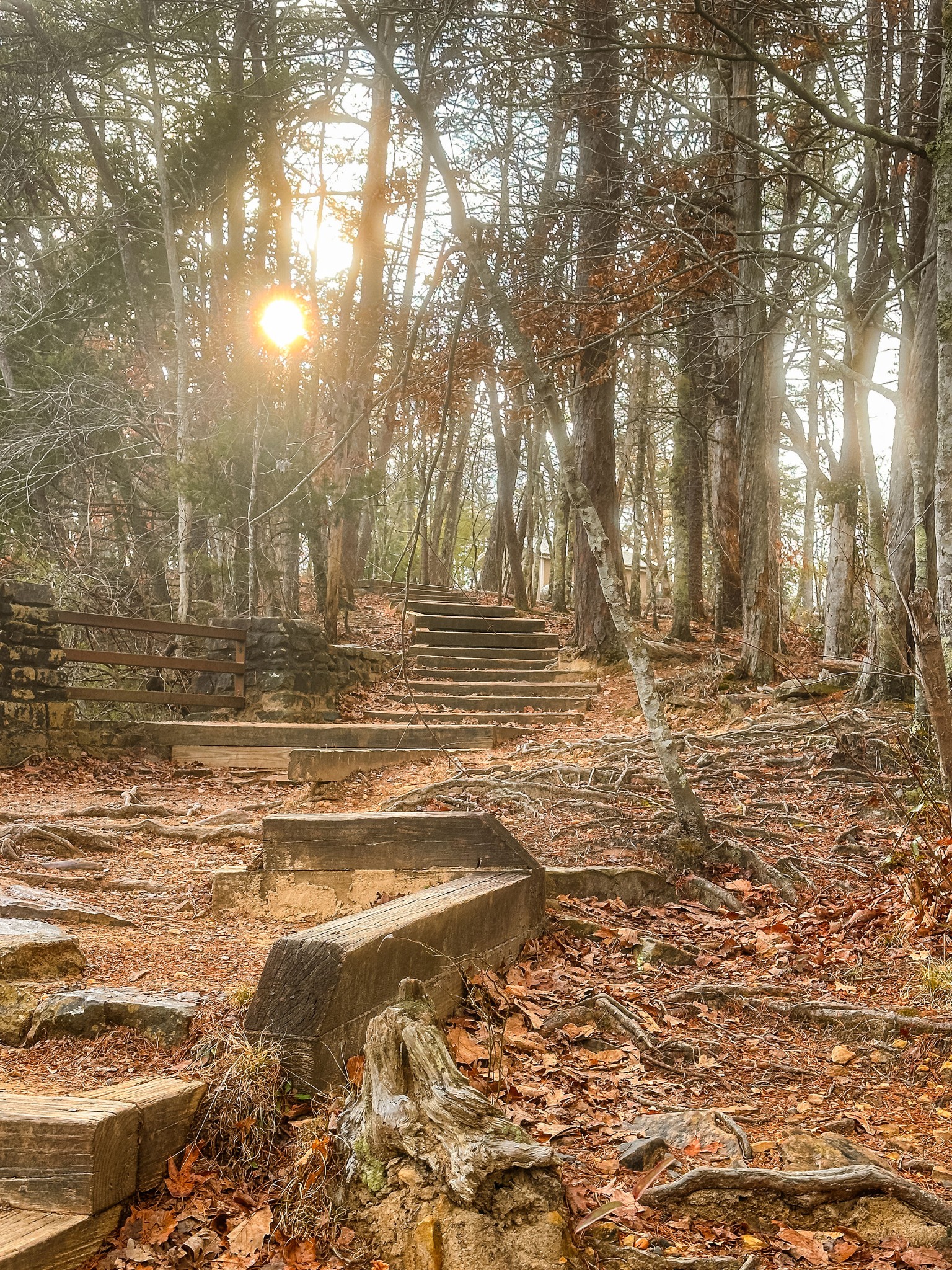 0 Captain Carter Road Spencer, TN 38585 - Photo 34 of 43 a view of yard with trees