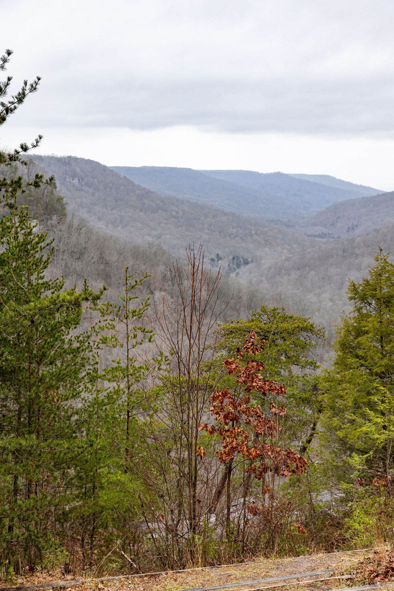 0 Captain Carter Road Spencer, TN 38585 - Photo 38 of 43