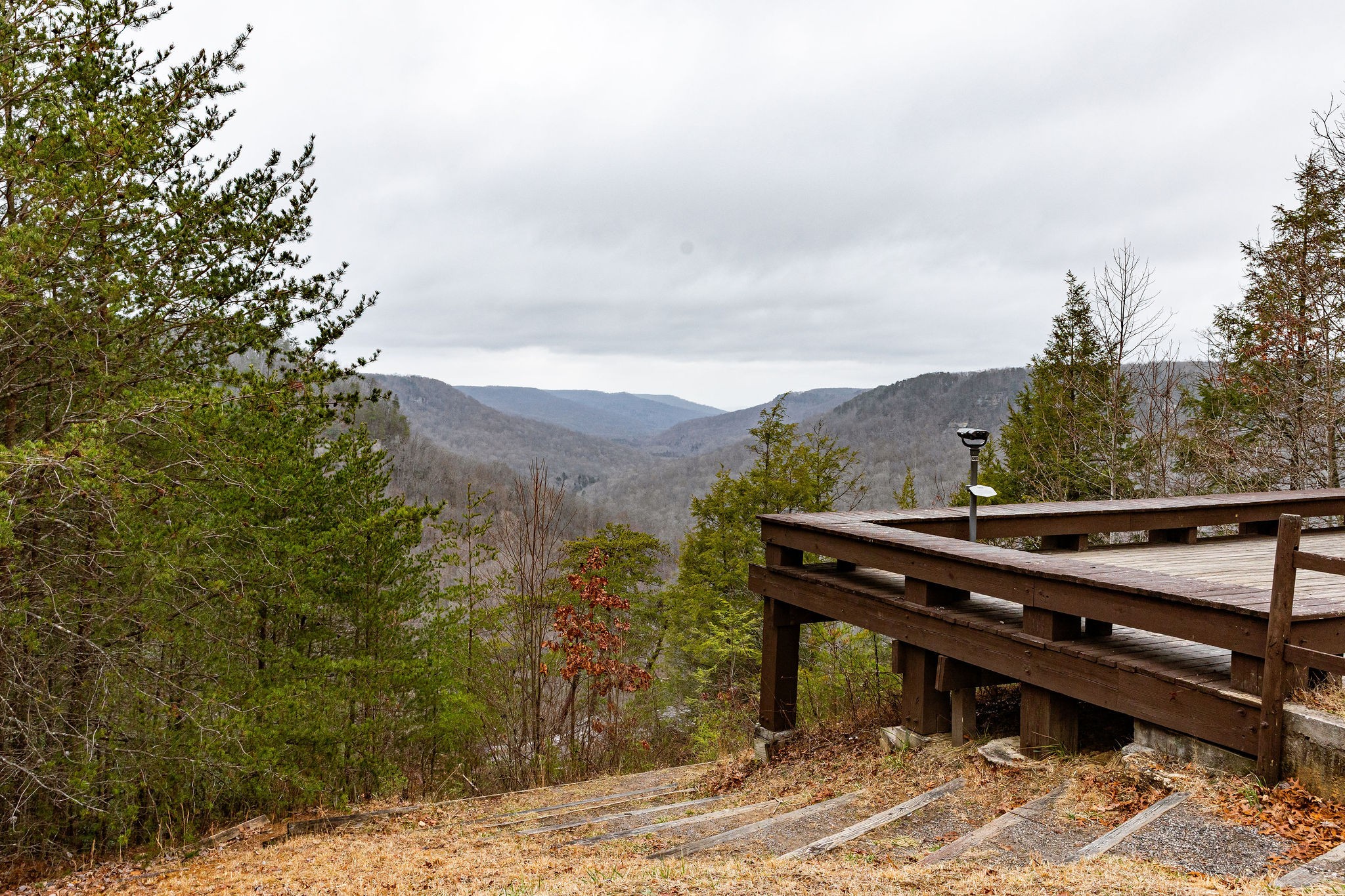 0 Captain Carter Road Spencer, TN 38585 - Photo 39 of 43 a view of a terrace with a bench